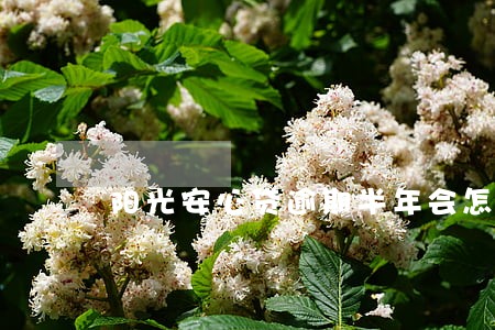 阳光安心贷逾期半年会怎么样 阳光安心贷逾期半年会怎么样