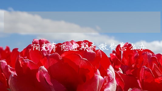 阳光寿险逾期未缴费怎么办 阳光寿险逾期未缴费怎么办