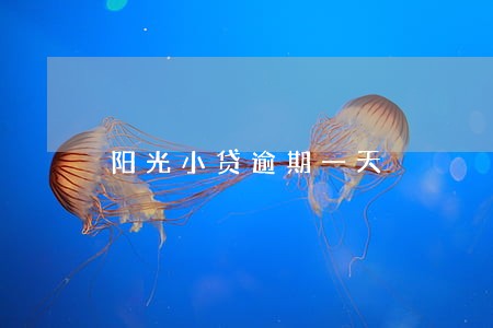 阳光小贷逾期一天
