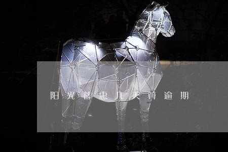 阳光普惠几天算逾期