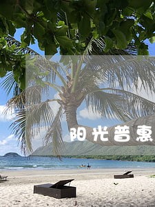 阳光普惠怎么查逾期 阳光普惠怎么查逾期