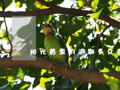 阳光普惠的逾期多久会上门催收 阳光普惠的逾期多久会上门催收