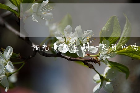 阳光普惠逾期一天可以吗 阳光普惠逾期一天可以吗