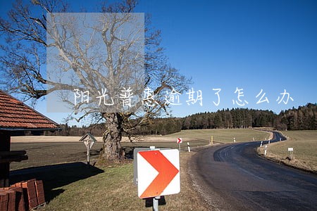 阳光普惠逾期了怎么办 阳光普惠逾期了怎么办
