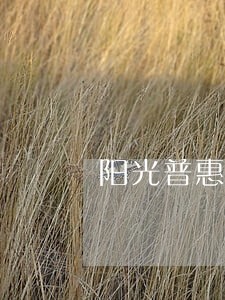 阳光普惠逾期贷后流程