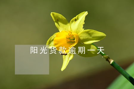 阳光货款逾期一天 阳光货款逾期一天