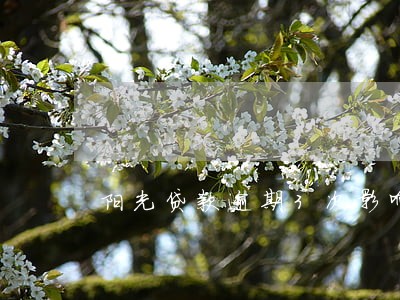 阳光贷款逾期3次影响 阳光贷款逾期3次影响