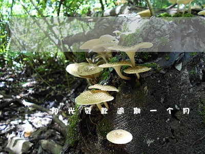阳光贷款逾期一个月 阳光贷款逾期一个月