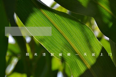 阳光贷款逾期一天就上门 阳光贷款逾期一天就上门