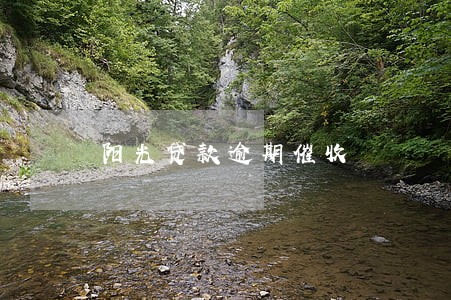 阳光贷款逾期催收 阳光贷款逾期催收
