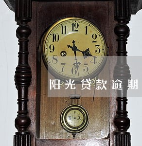 阳光贷款逾期多久上征信 阳光贷款逾期多久上征信