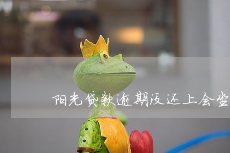 阳光贷款逾期没还上会坐牢吗 阳光贷款逾期没还上会坐牢吗