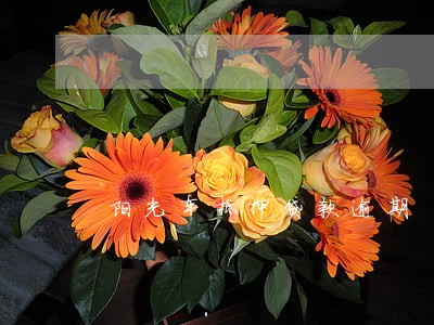 阳光车抵押贷款逾期 阳光车抵押贷款逾期