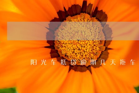 阳光车抵贷逾期几天拖车 阳光车抵贷逾期几天拖车