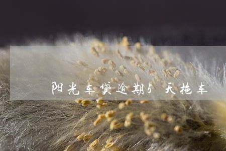 阳光车贷逾期5天拖车 阳光车贷逾期5天拖车