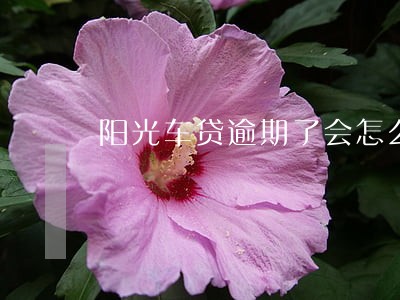 阳光车贷逾期了会怎么样 阳光车贷逾期了会怎么样