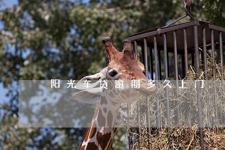 阳光车贷逾期多久上门 阳光车贷逾期多久上门