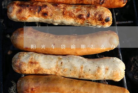 阳光车贷逾期怎么办 阳光车贷逾期怎么办
