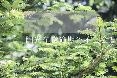 阳光车贷逾期还不上会怎么样 阳光车贷逾期还不上会怎么样
