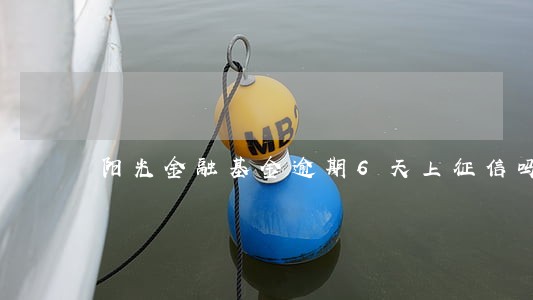 阳光金融基金逾期6天上征信吗 阳光金融基金逾期6天上征信吗