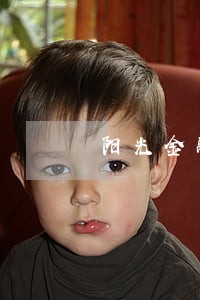 阳光金融逾期 阳光金融逾期