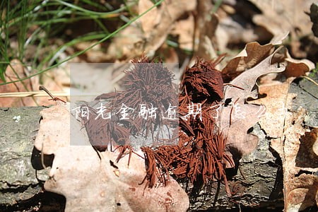 阳光金融逾期了怎么办 阳光金融逾期了怎么办