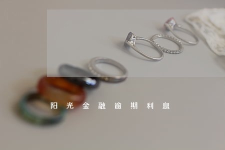 阳光金融逾期利息