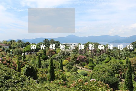 阳光钱包逾期影响征信吗 阳光钱包逾期影响征信吗