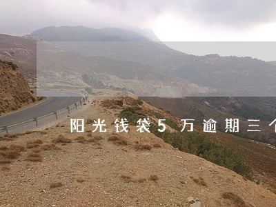 阳光钱袋5万逾期三个月怎么办 阳光钱袋5万逾期三个月怎么办