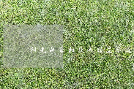 阳光钱袋扣款成功显示逾期 阳光钱袋扣款成功显示逾期