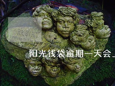 阳光钱袋逾期一天会上征信吗