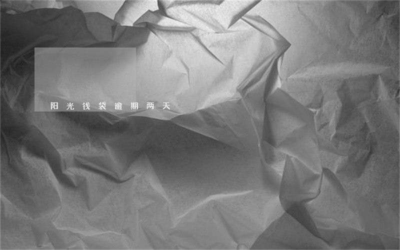 阳光钱袋逾期两天 阳光钱袋逾期两天