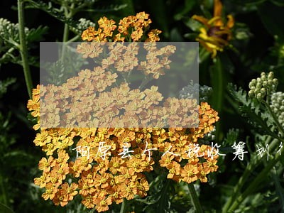 阳原县个人税收筹划律师在线咨询 阳原县个人税收筹划律师在线咨询