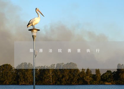 阳原法院善意执行