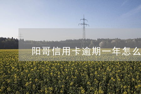 阳哥信用卡逾期一年怎么处理 阳哥信用卡逾期一年怎么处理