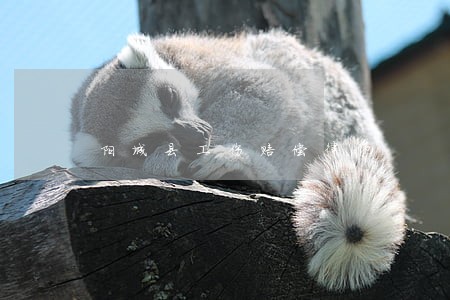 阳城县工伤赔偿律师 阳城县工伤赔偿律师