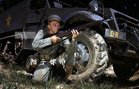 阳子律师 阳子律师