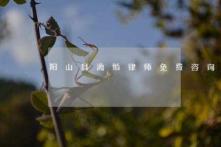 阳山县离婚律师免费咨询 阳山县离婚律师免费咨询