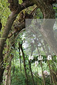 阳山县青莲司法所 阳山县青莲司法所
