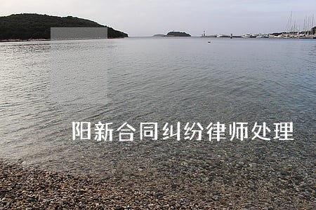 阳新合同纠纷律师处理 阳新合同纠纷律师处理