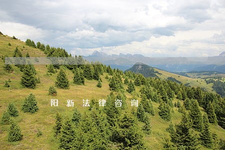 阳新法律咨询 阳新法律咨询