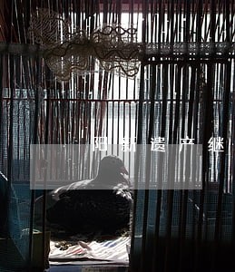 阳新遗产继承律师费用 阳新遗产继承律师费用