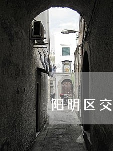 阳明区交通事故免费法律咨询热线 阳明区交通事故免费法律咨询热线