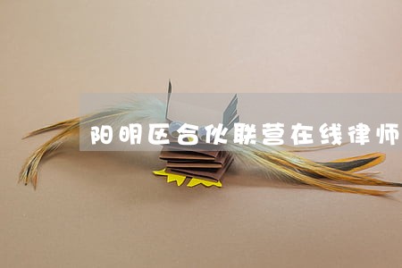 阳明区合伙联营在线律师 阳明区合伙联营在线律师