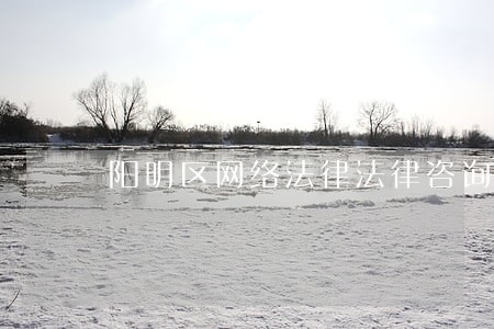 阳明区网络法律法律咨询热线 阳明区网络法律法律咨询热线