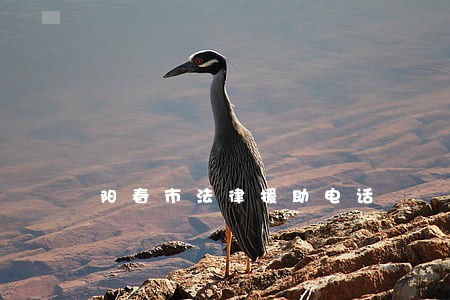 阳春市法律援助电话 阳春市法律援助电话