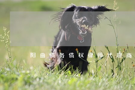 阳曲债务债权律师代理商 阳曲债务债权律师代理商