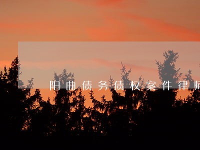 阳曲债务债权案件律师价格咨询 阳曲债务债权案件律师价格咨询