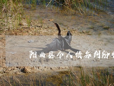 阳曲县个人债务纠纷律师 阳曲县个人债务纠纷律师
