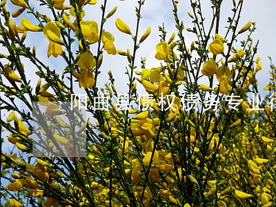 阳曲县债权债务专业律师 阳曲县债权债务专业律师